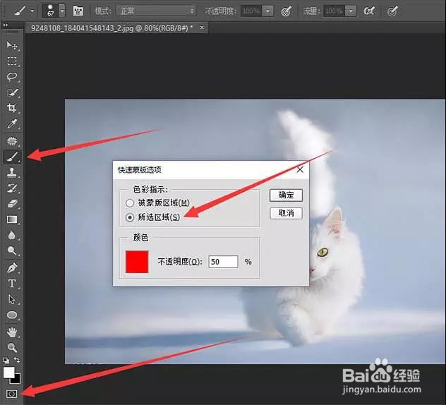 PS:如何用蒙版抠出白猫