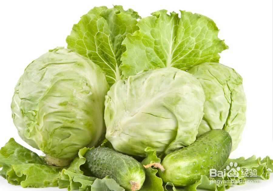 如何使食物保鲜