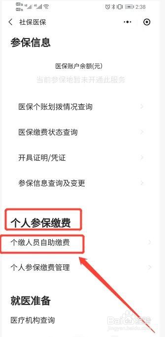 社保怎么自己缴费多少钱一个月