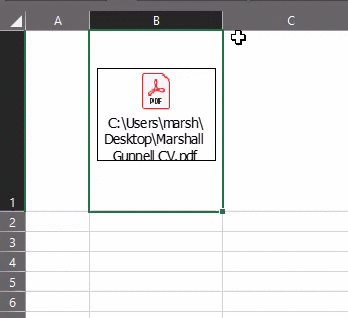 怎么在Excel中插入PDF