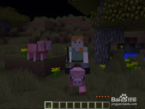 Minecraft我的世界怎么骑猪 百度经验