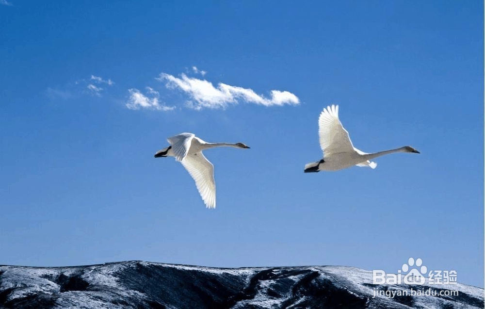 对视恐惧的应对措施