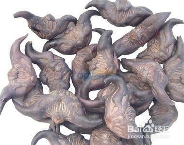 肾衰竭饮食有哪些需要注意的