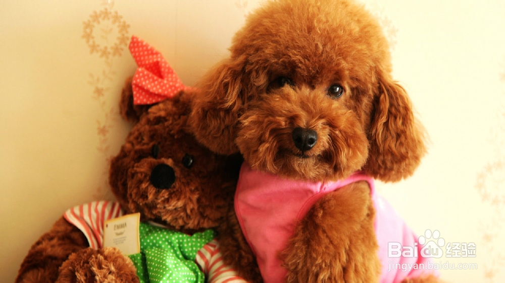 月经期间心情不好怎么办