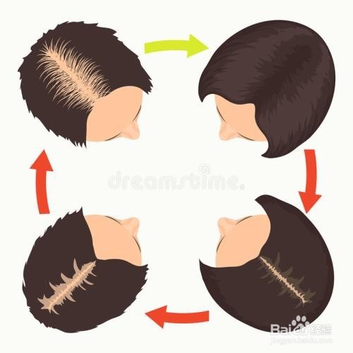 有效防止或者缓解女性掉头发的好方法