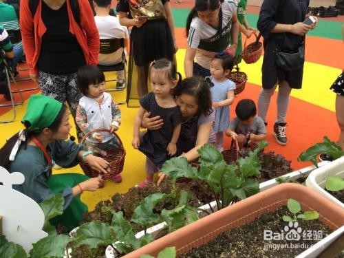 如何建设多元化农场