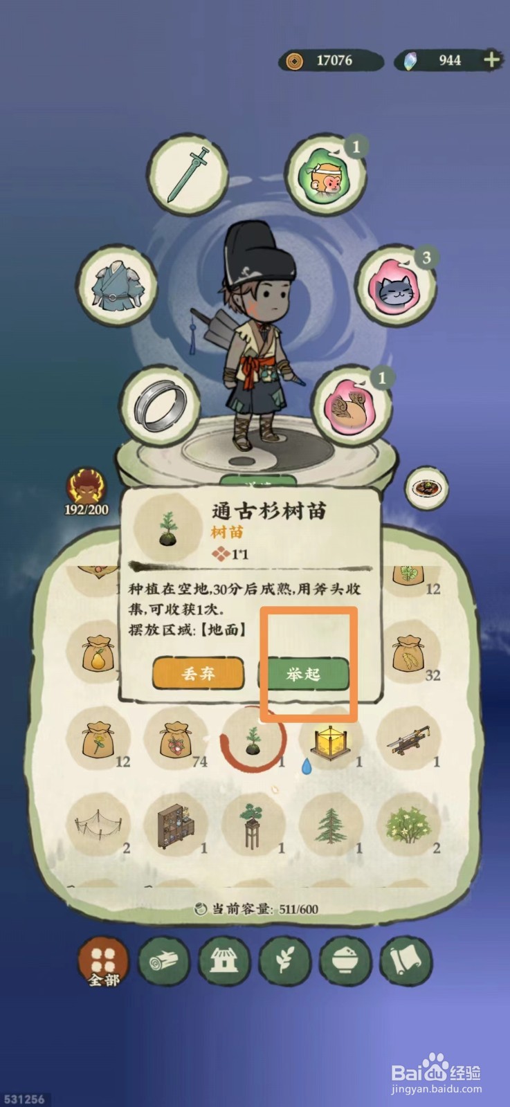 仙山小农怎么种植通古杉树苗