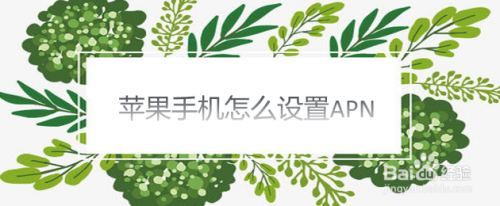 苹果手机怎么设置APN