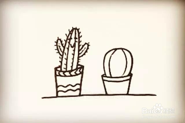 仙人掌简笔画怎么画呢