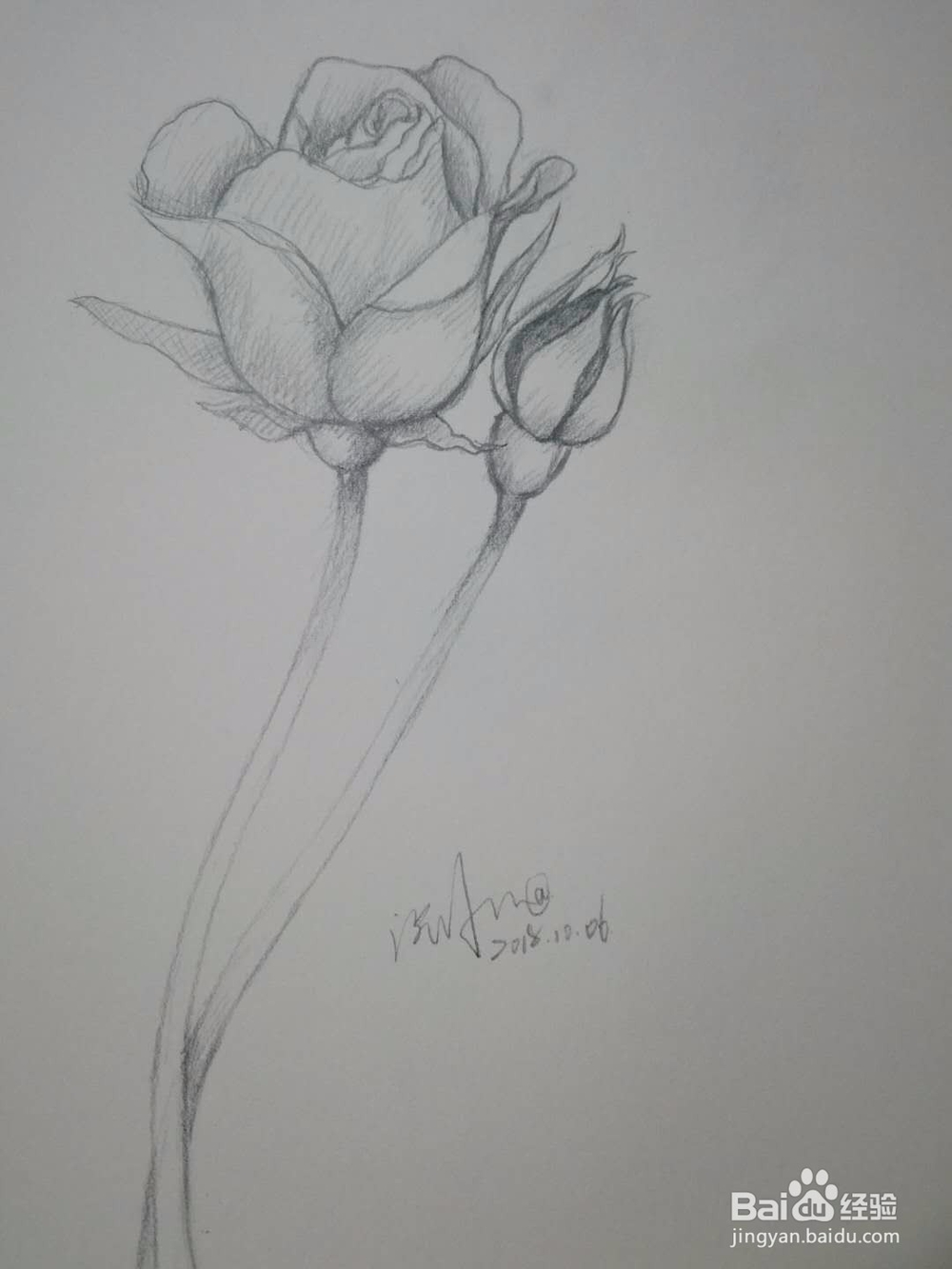 《玫瑰朵朵》手绘素描教程