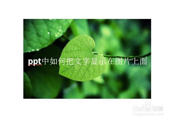 ppt中如何把文字显示在图片上面
