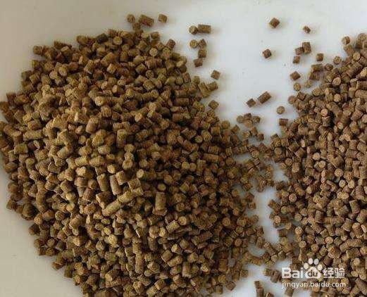 虾的饲料制作方法与步骤