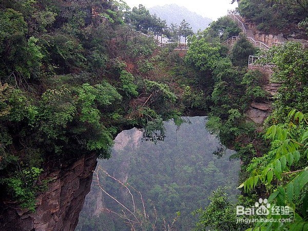 张家界学生自助游
