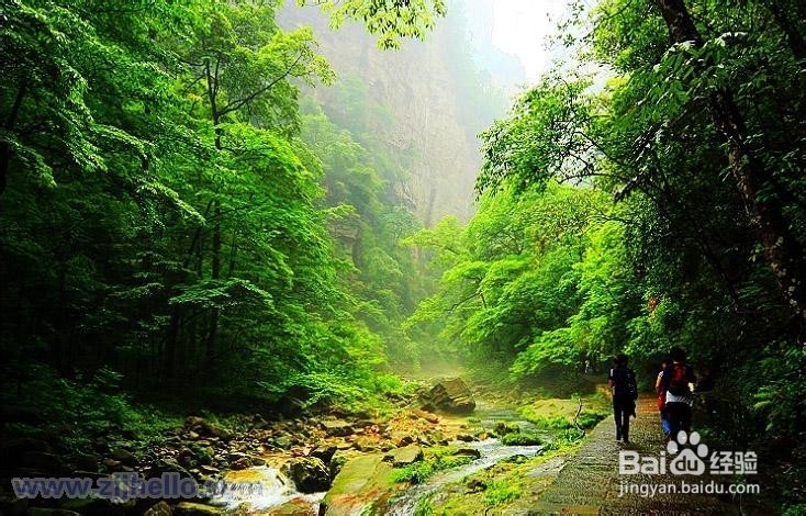 阳江到张家界自驾游