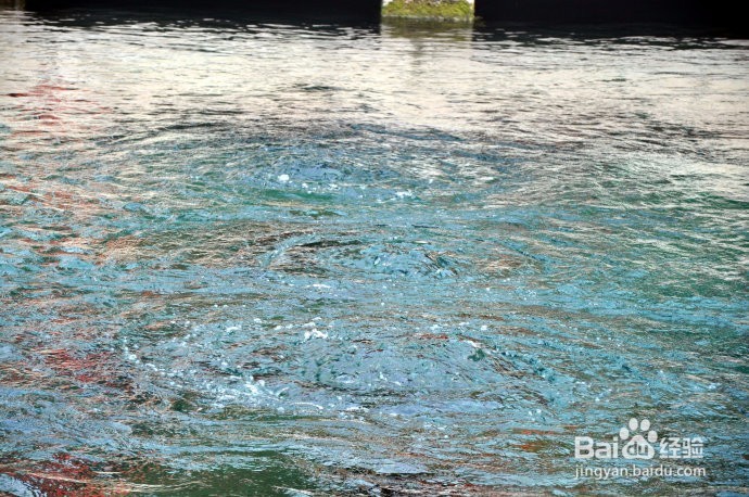 济南趵突泉旅游攻略