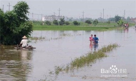 喝三七粉有什么好处,不知道点击查看