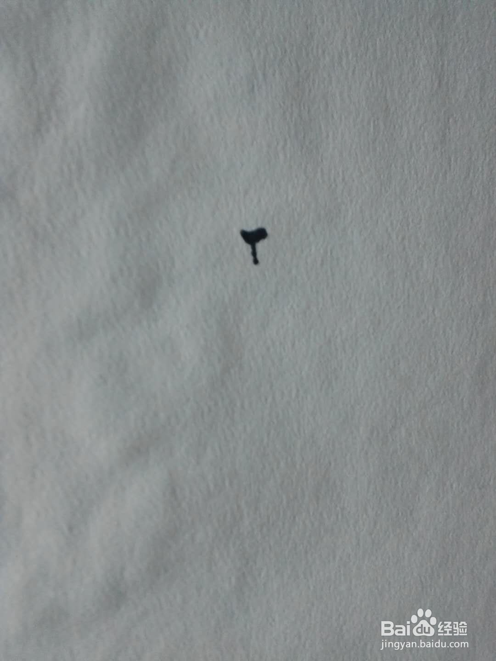 简笔画绵羊的画法
