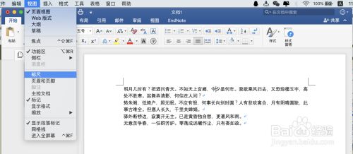 Mac版word中的标尺调出及使用方法大全 百度经验