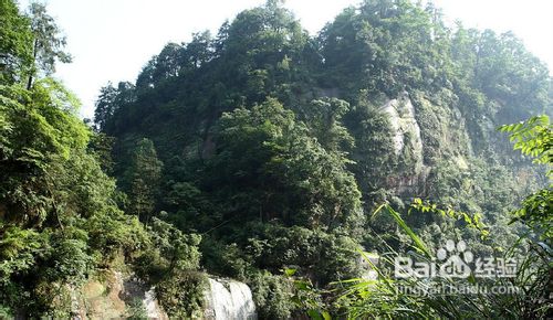 长江三峡旅游攻略之江津美食知多少