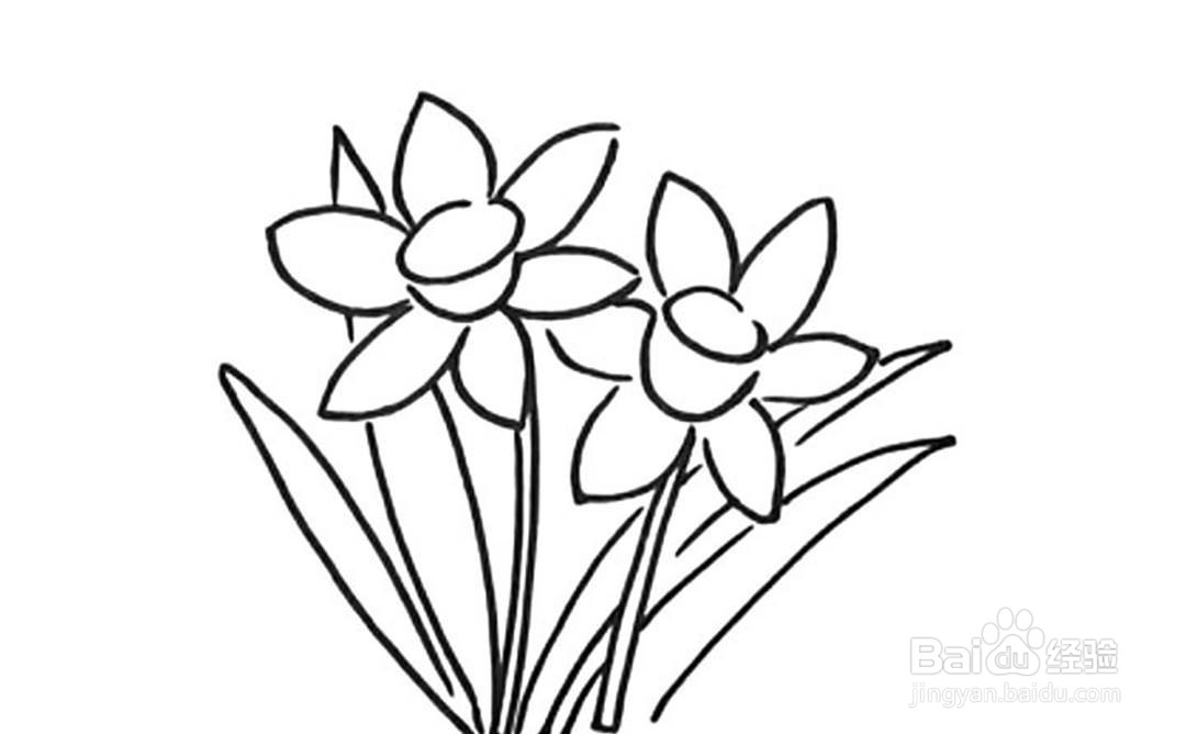 如何画水仙花的卡通简笔画教程