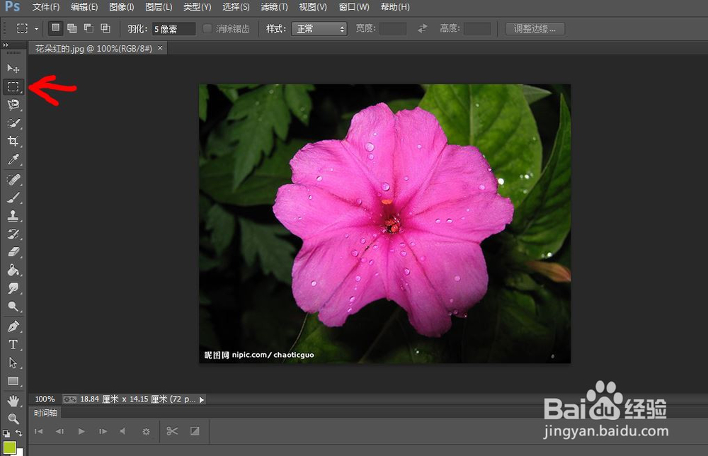 如何使用photoshop选区工具中的矩形选区工具