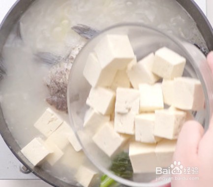 鲫鱼豆腐汤的做法