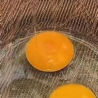 松软Q弹的蒸蛋过