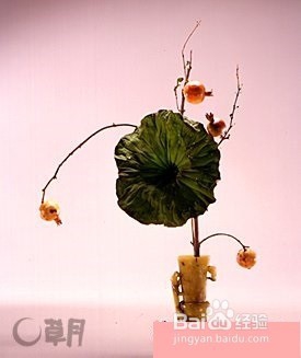 花道-融入生活的优雅