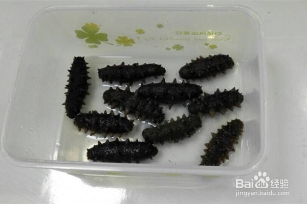 怎样发海参？