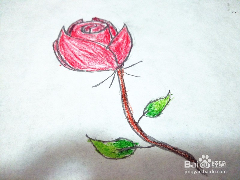 玫瑰花简笔画怎么画