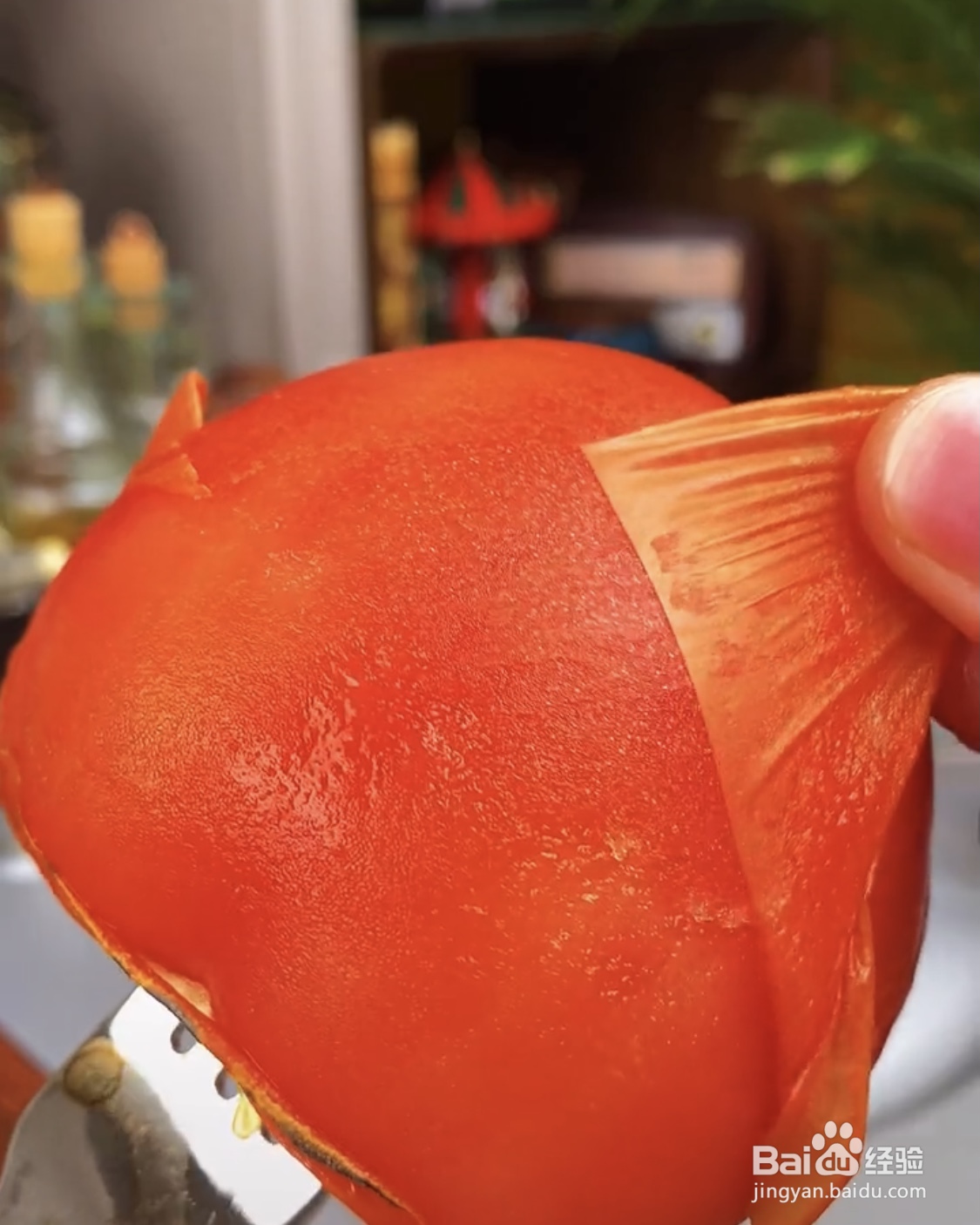 怎么做简单的西红柿牛肉盅
