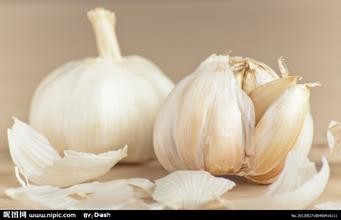 促进人体新陈代谢的几类食物