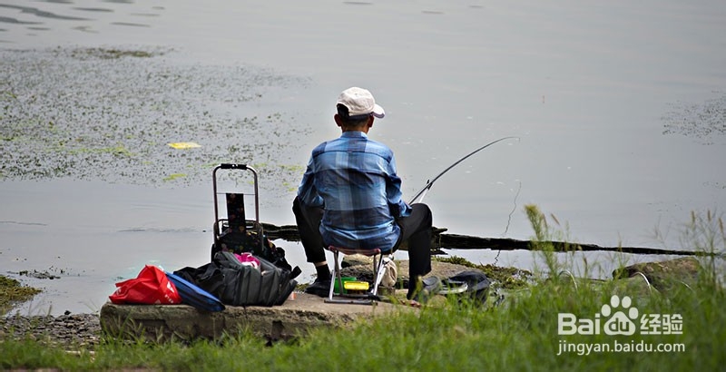 关于在钓鱼饵料中添加食盐和味精的作用你知道吗