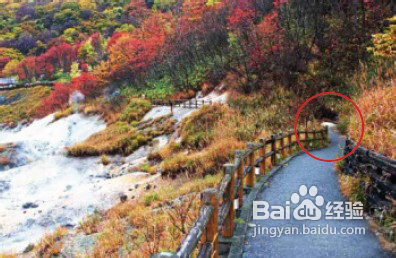 摄影构图的十大禁忌