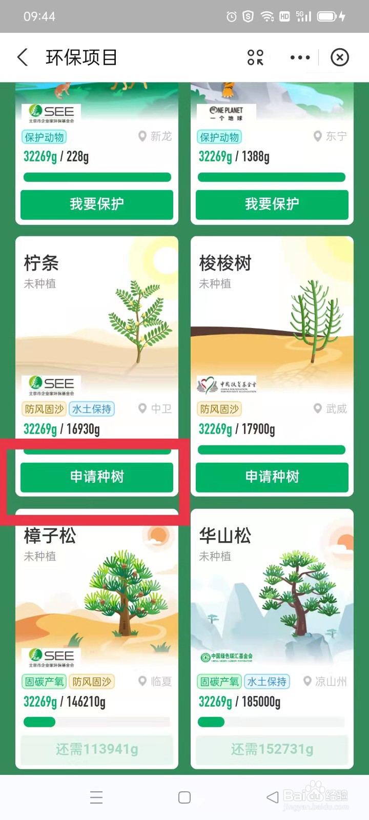 蚂蚁庄园怎么申请种树