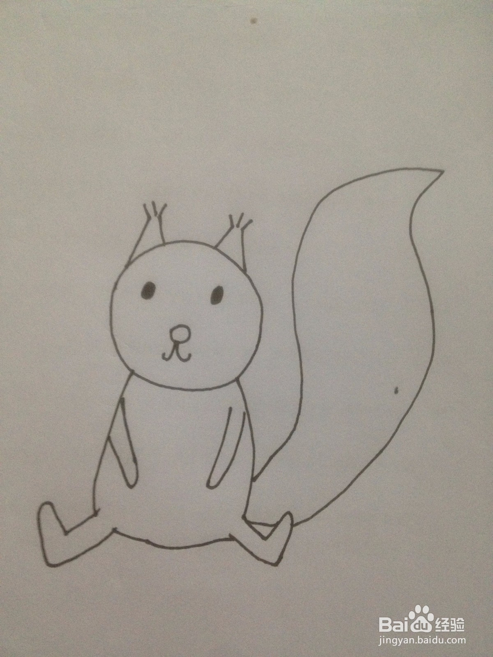 如何画一只简单的松鼠