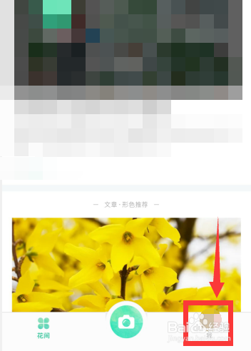 形色app上如何修改性别