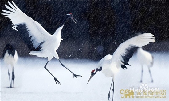 特效和视觉效果