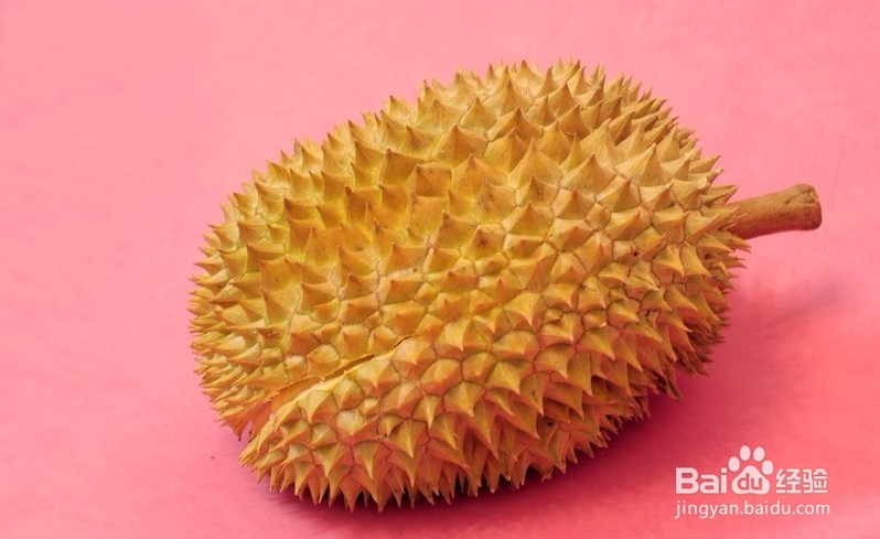 #水果#如何挑选优质的榴莲