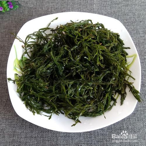 盐渍马尾藻怎么吃