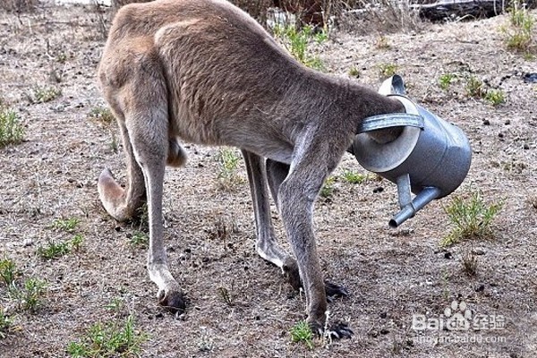 倒霉的时候怎么办