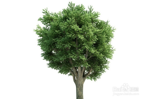 ps抠图方法大全8种方法