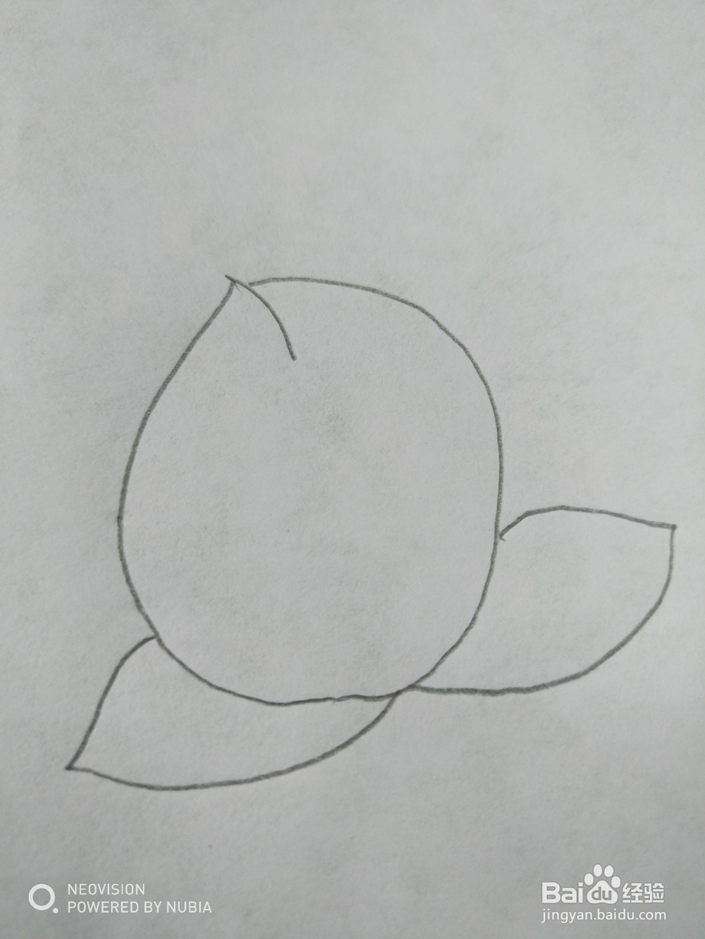 好吃的桃子怎么画