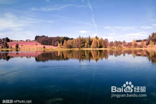 ps基础教程-ps制作唯美的红外摄影效果