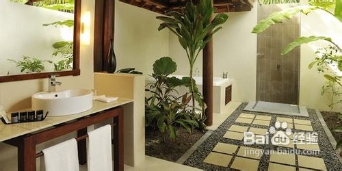 马尔代夫罗宾逊岛攻略2012