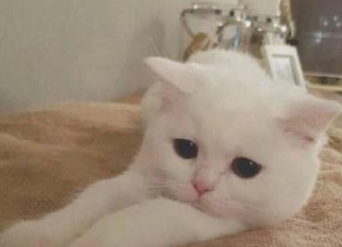 朋友圈简短开心句子