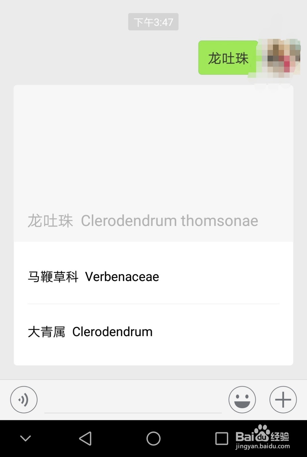 如何快速认识一种植物