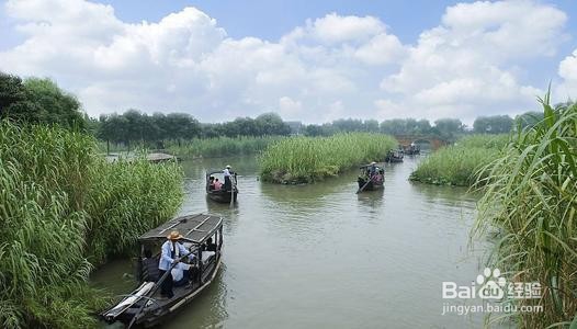 上海周边人少免费旅游攻略