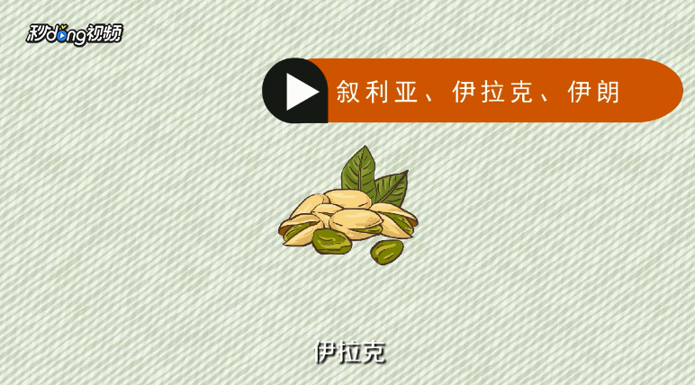 开心果是什么果实