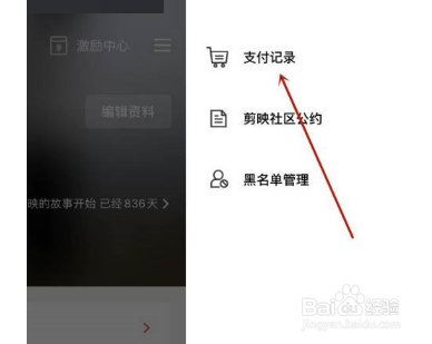 剪映支付记录怎么查看